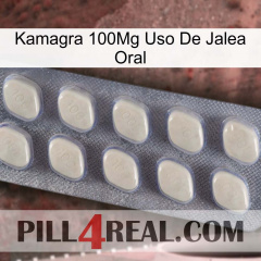 Kamagra 100Mg Oral Jelly Use 08